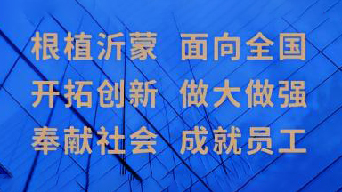 整体发展战略和目标