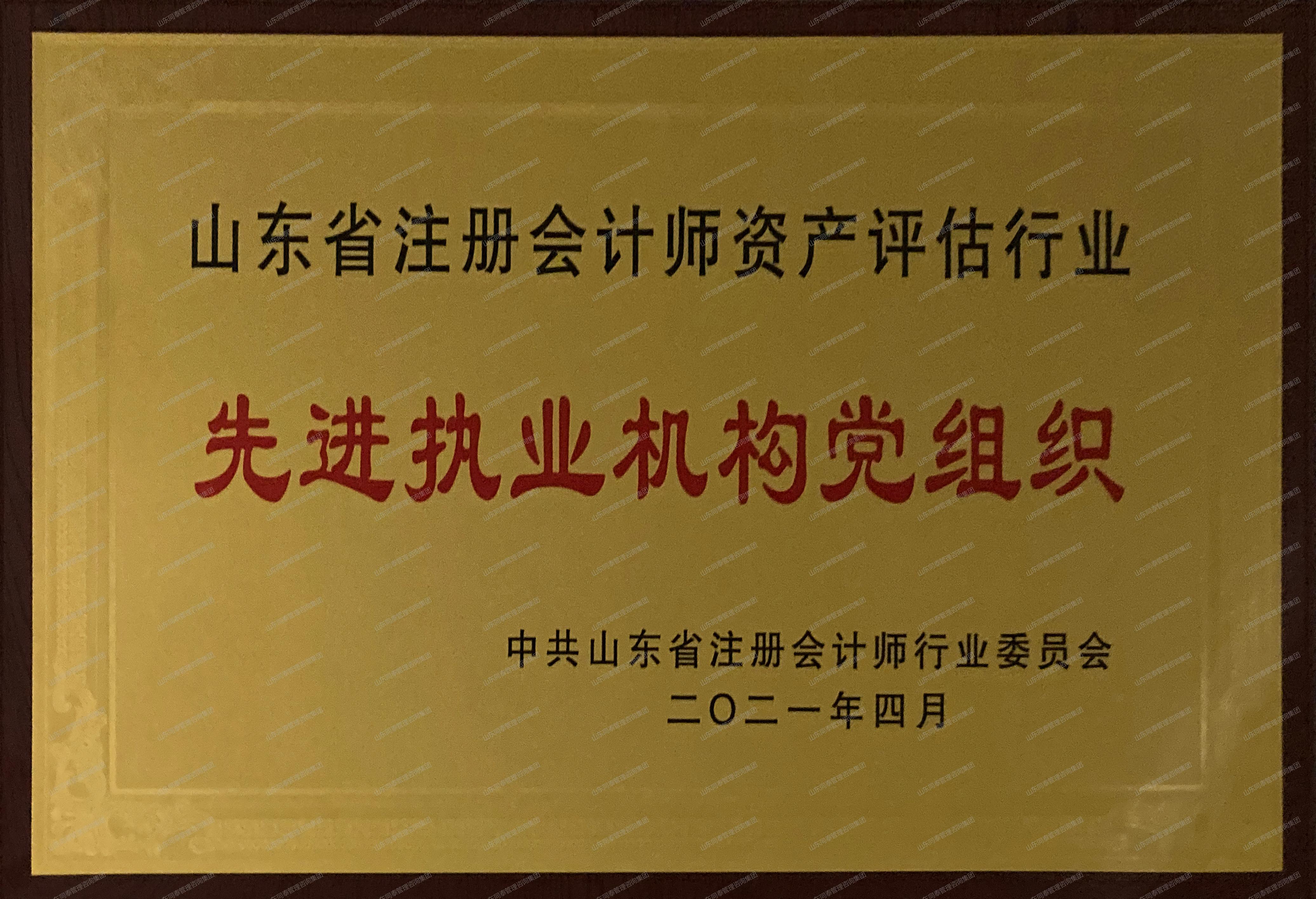 山东省注册会计师资产评估行业先进执业机构党组织
